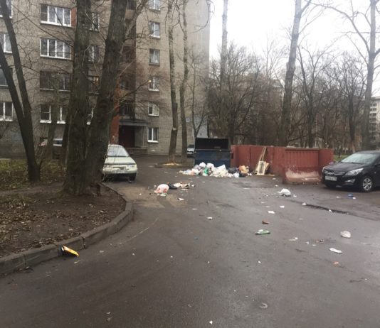Уровень неплатежей за вывоз мусора в России достигает 70%. Фото: Новости Купчино / ВК