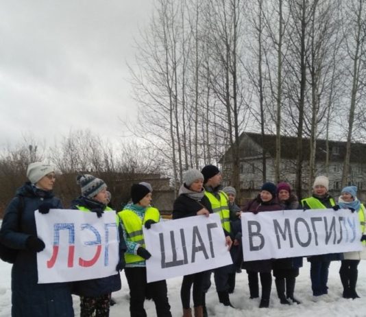 Жители Котласа вышли на массовый пикет. Фото: "Эхо Котласа" / ВКонтакте