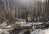 Вырубка леса. Фото: Дмитрий Лисицын/ Экологическая вахта Сахалина