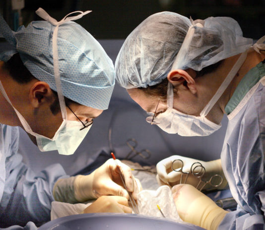 Трансплантация, операция. Фото: naked-science.ru