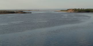 Река Солза в месте впадения в Двинскую губу Белого моря. Фото: Schekinov Alexey Victorovich / Wikimedia