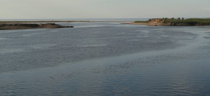 Река Солза в месте впадения в Двинскую губу Белого моря. Фото: Schekinov Alexey Victorovich / Wikimedia