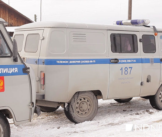 Полиция. Фото: newdaynews.ru