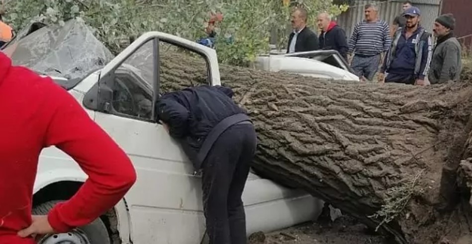 Трое сильных. Дерево задавило человека. В Ростове упало дерево на машину. Человека придавило машиной.